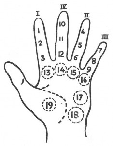 Radiesthetic Hand Analysis with Pendulum