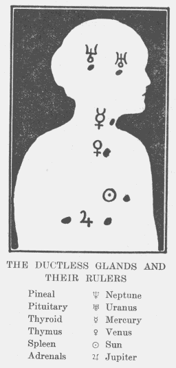 Astrology & the Ductless Glands